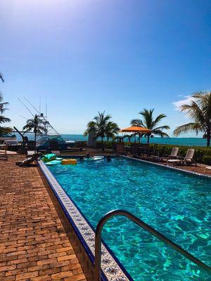 Eastern Exterminating