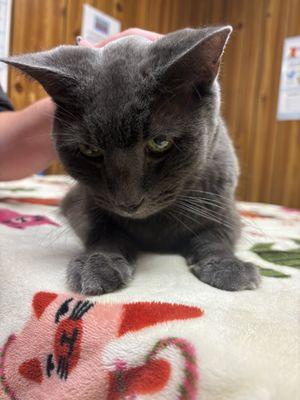 Brookwood Veterinary Clinic