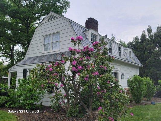 Five Stars Carlos Painting Corp