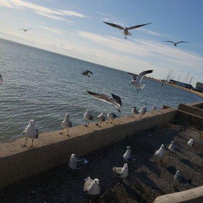 Going Costal Vacation