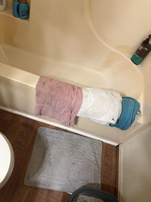 Here are my soaked towels that I had hanging up to dry. They take them down and use it to clean up there mess. Don't recommend them.