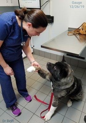 We love all the doctors here. they care about your pet and take the time needed to help them. The staff is great, very friendly.
