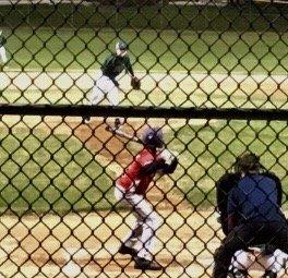 Westmont Park District