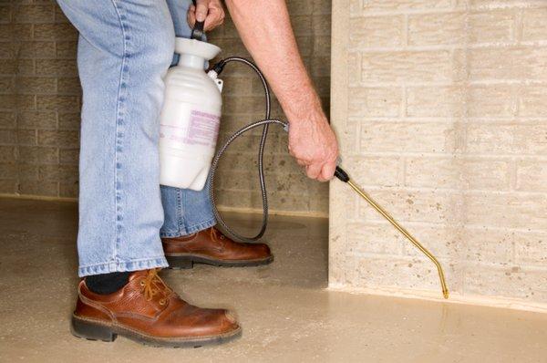 Express Pest Management