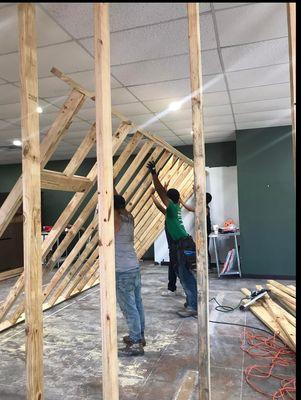 Pink Roofing and Reconstruction