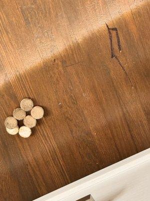 The scratches they painted