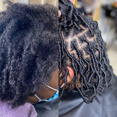 Starter Locs