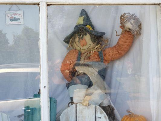 Carter's General Store