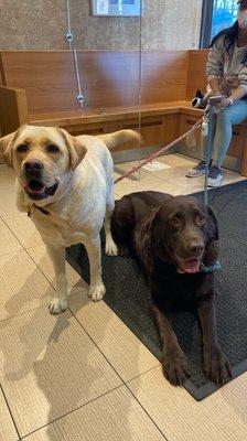 The more the merrier! Refer a friend and you both get $100 credit!