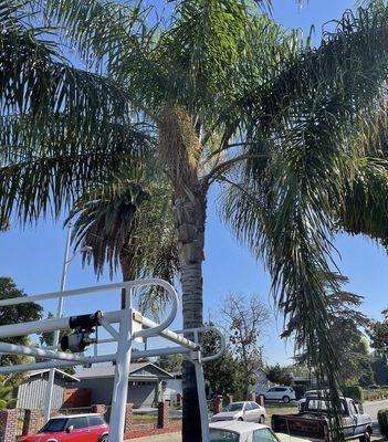 G&G Junk Removal And Landscaping