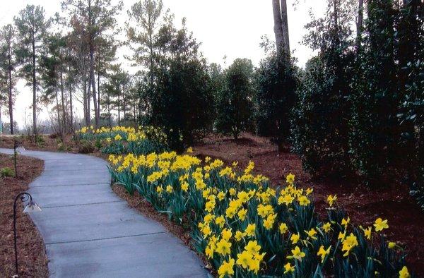 Environmental Landscape Management