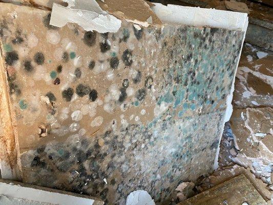 First Class Air & Restoration