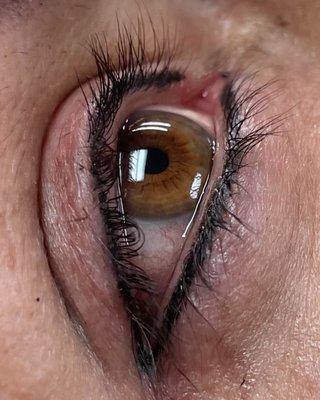 Accentuate’d Beauty