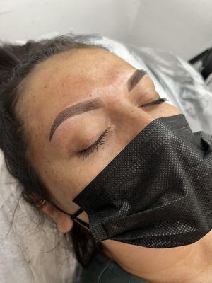 Sandy Hair and Brows