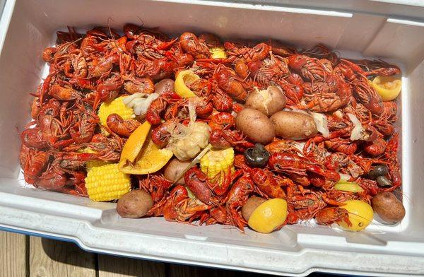 Red Mountain Crawfish