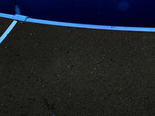 Don's Pest & Weed Control