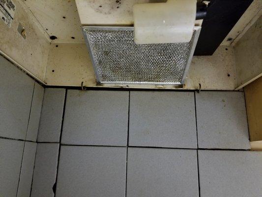 Fan above stove covered in food and dead flies