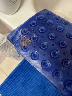 Bizzy Bee'z Housecleaning & Home Services