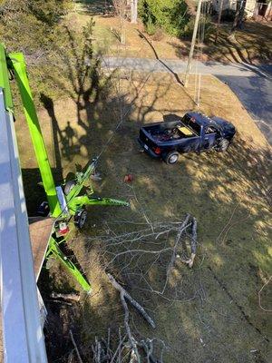 Pluck It Tree Service