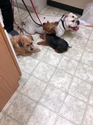 Our buddies & us awaiting the Doc