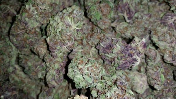 Natural Healing Connection Delivery