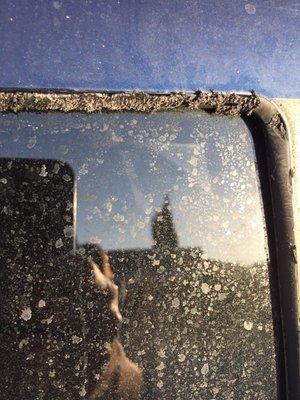 Molding destroyed by flat head screw driver not degreaser as claimed by Eli.