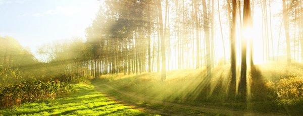 Sol Acupuncture Health Solutions