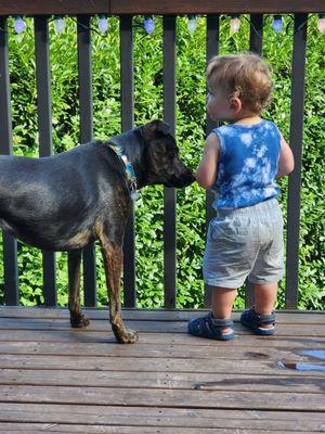 Freyja with my son as a toddler.