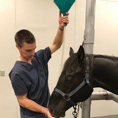 Nebraska Equine Veterinary Clinic