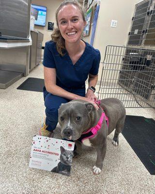 Leesburg Veterinary Hospital