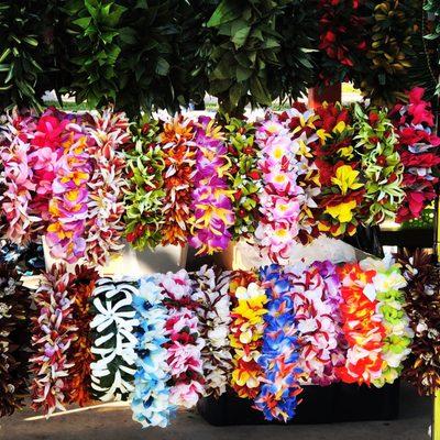 Wilton Manors City of