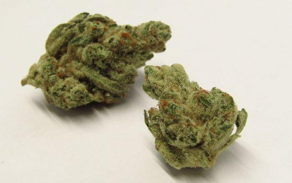 Stability Cannabis Dispensary