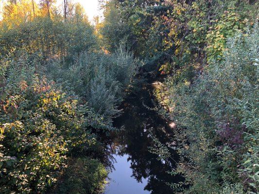 Foster Floodplain Natural Area