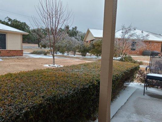 Feb 3, 2022 snowfall