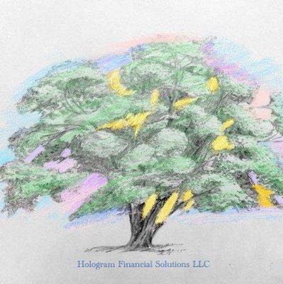 Hologram Financial Solutions