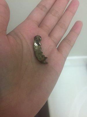 New York Gold and Diamonds