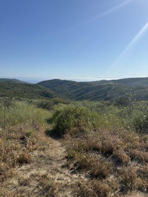 Silver Lining Recovery