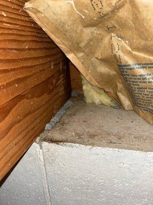 Pike Creek Exterminating