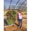 Plantorium Greenhouse