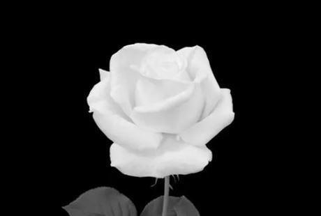 Lowmans Arizona Funeral Home Inc