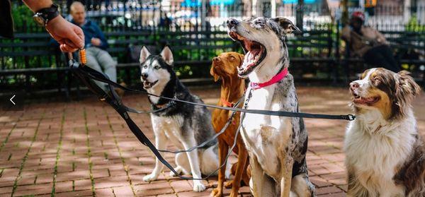 Danno Mighty Care Service