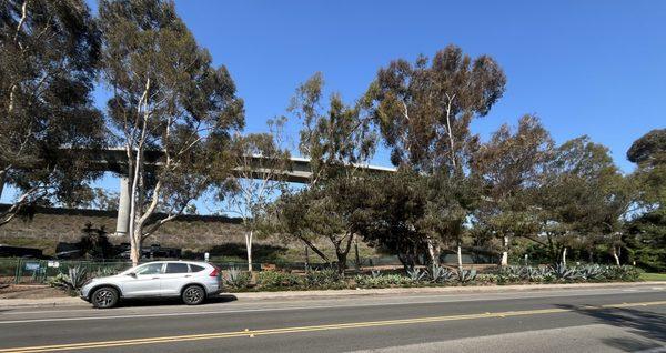 La Jolla Colony Dog Park