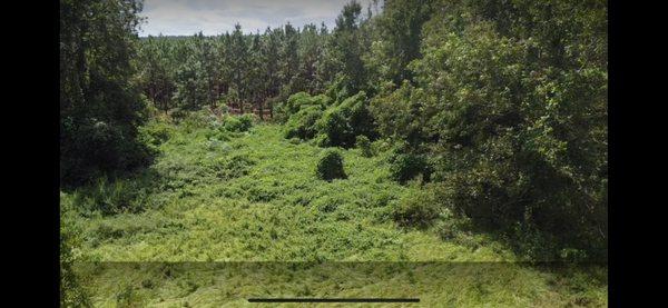 FloClear Land Services