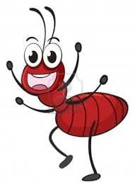 Bamas Best Pest Control