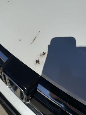 At least these many smudges wiped off for the most part. I will have to go to a different car wash though.