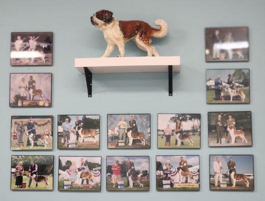 Puppy Avenue