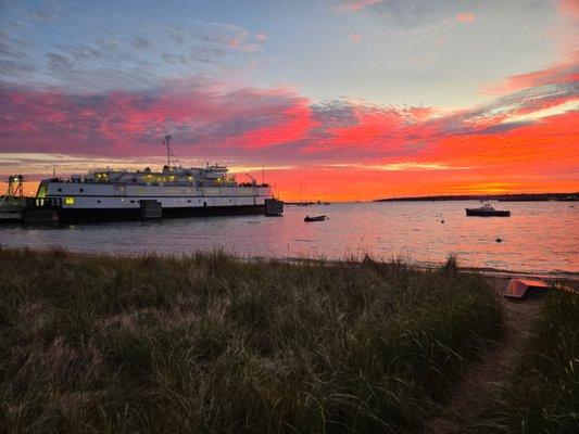 Elizabeth J Carroll - Flanders Up Island Real Estate