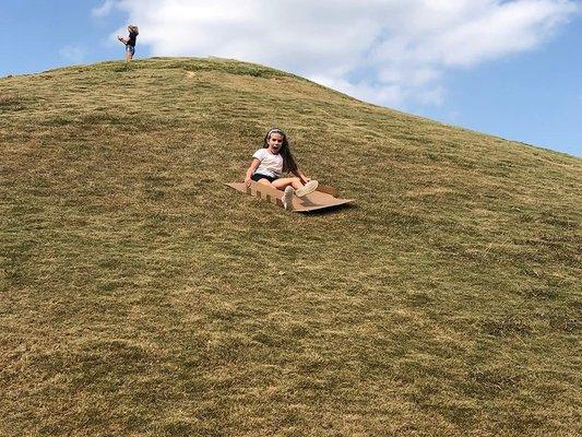 Cardboard Hill