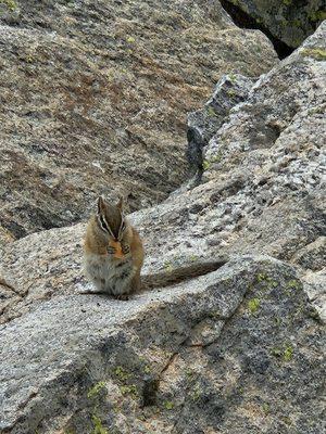 Mount Spokane State Park