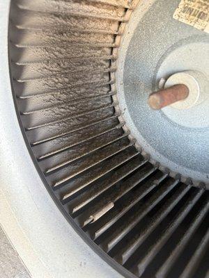 Dirty blower wheel adding strain to motor and affecting airflow
